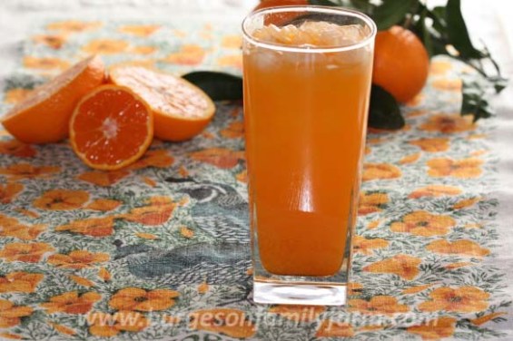 mandarin-vodka-tonicw