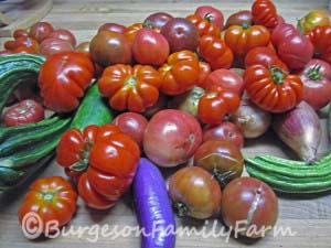 end-of-season-harvest