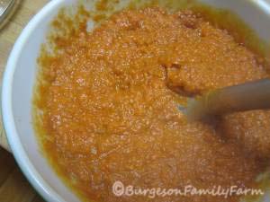 pureed-sauce-1